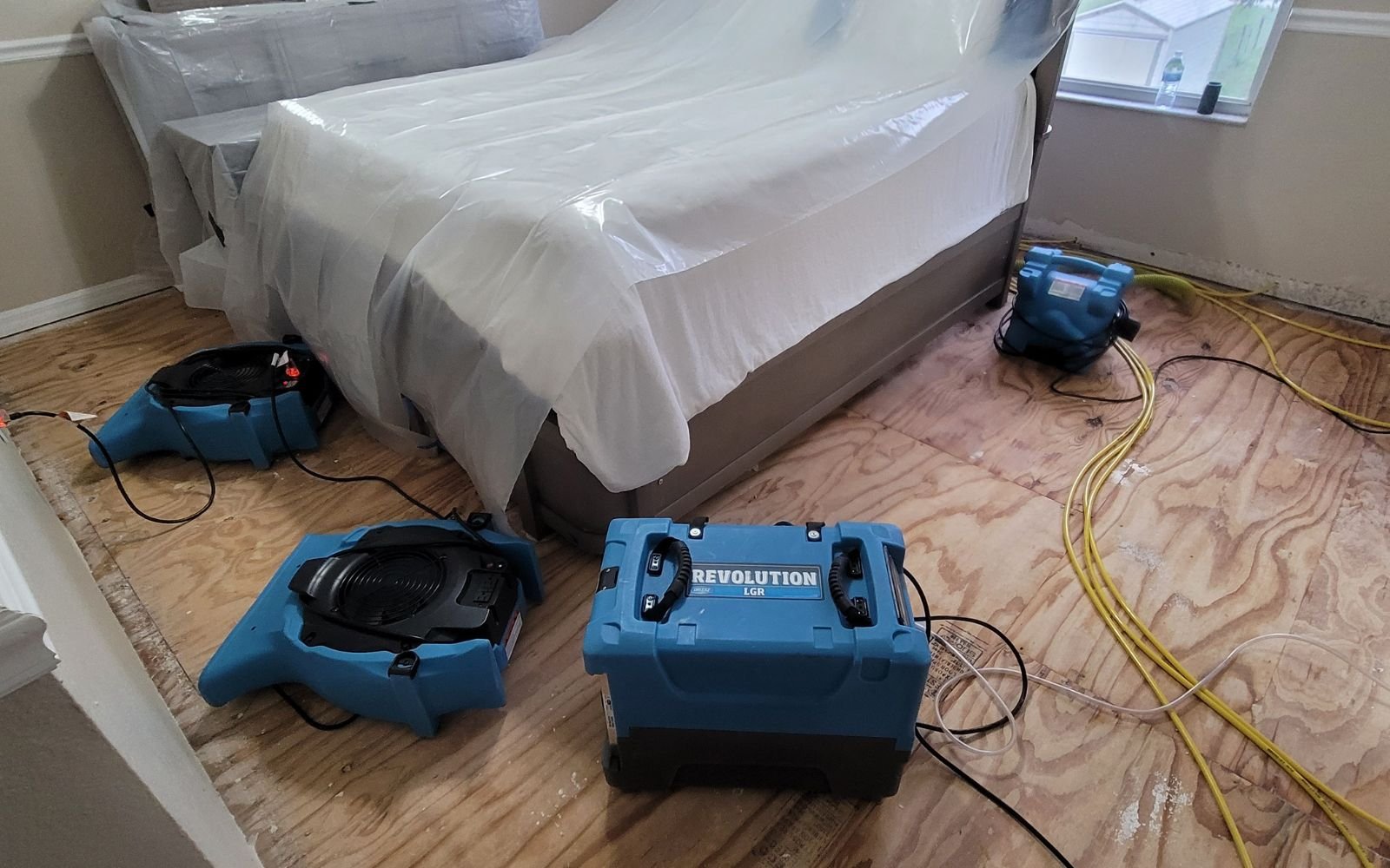 Remediación de Moho
